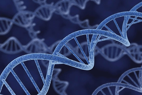 L’analyse des données génétiques et de la diversité humaine bouleverse la médecine d’aujourd’hui et de demain