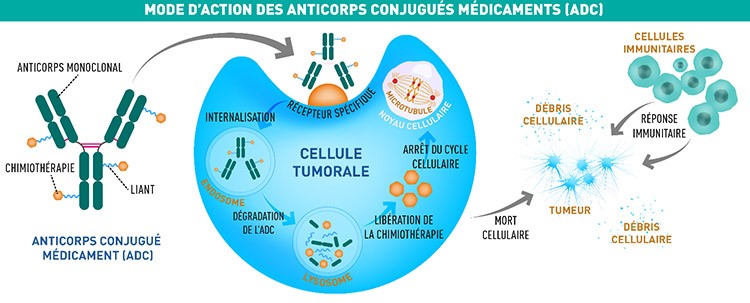 Source  gustaveroussy.fr/fr/programme-innocare